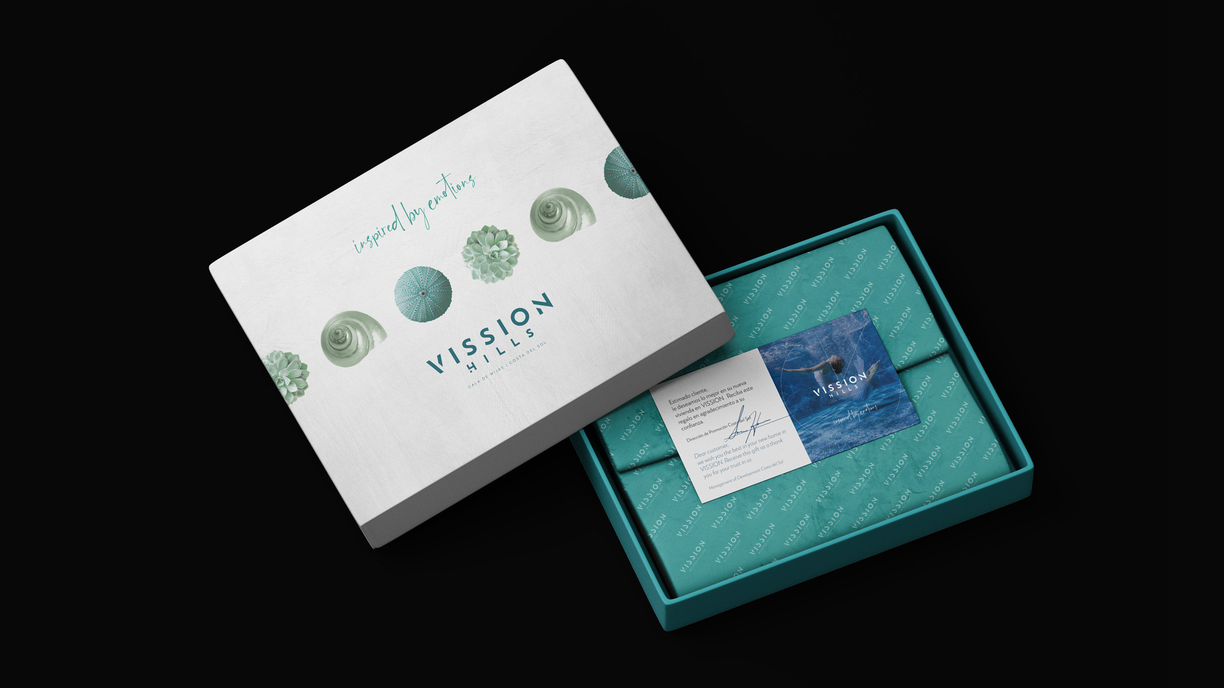 vission-slider2