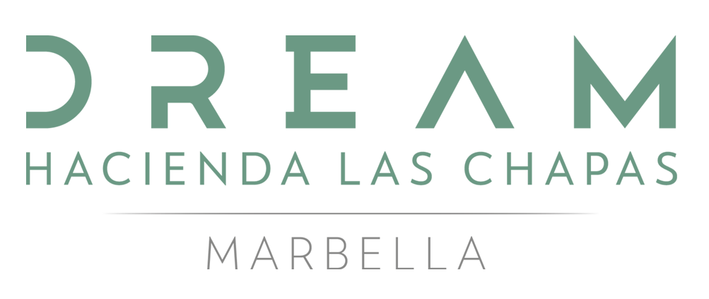 LOGO-DREAM-LAS-CHAPAS