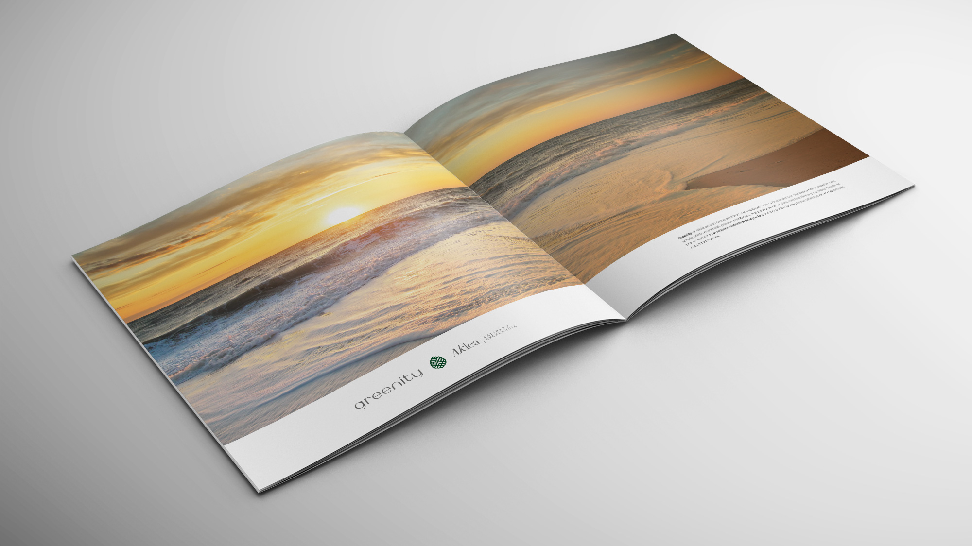 brochure-04