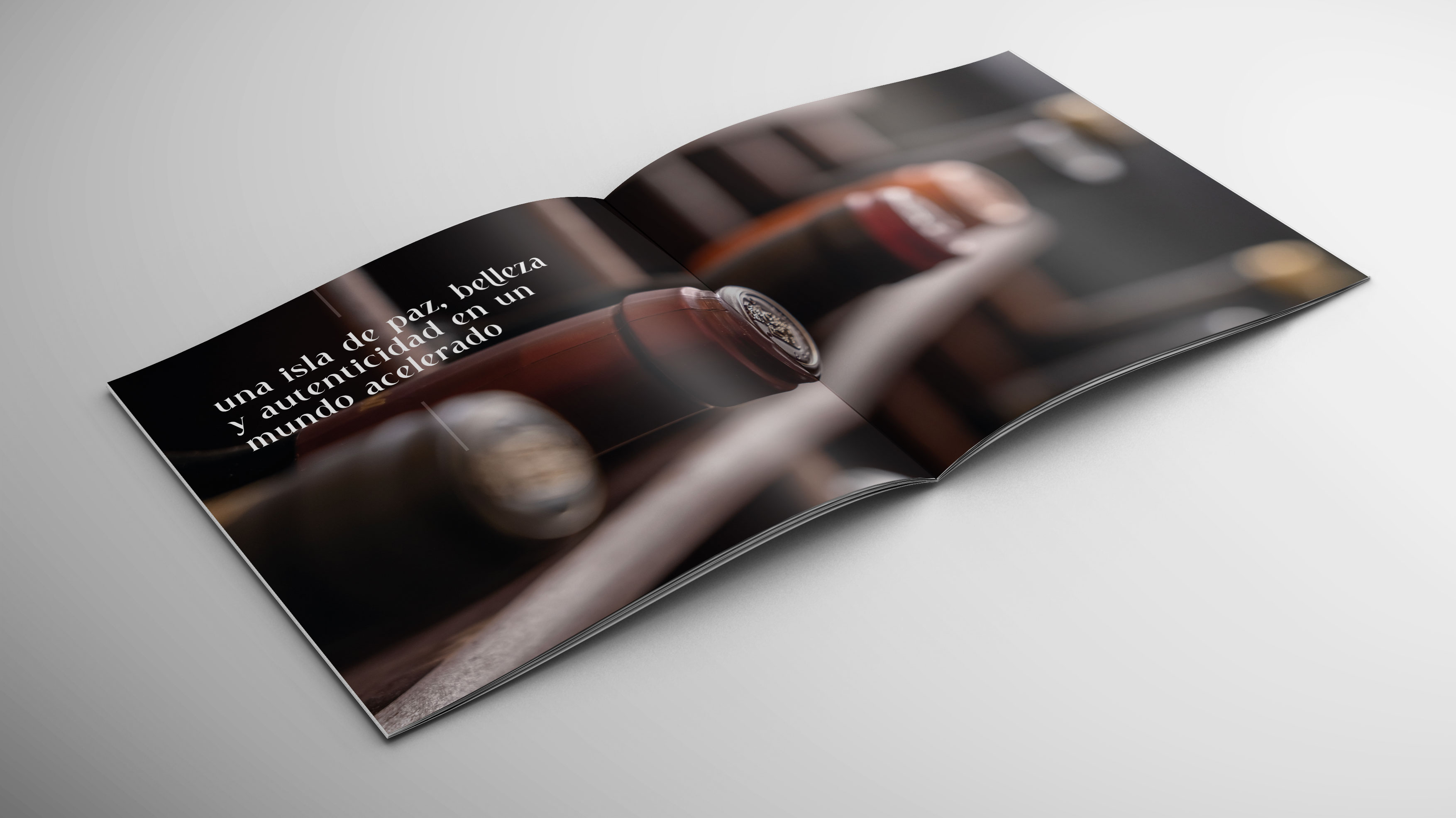 brochure3